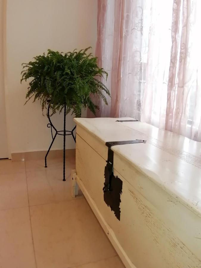 Departamento Alejandro - Completo Y Amplio Departamento En Una Zona Muy Tranquila De La Cdmx Meksika Dış mekan fotoğraf